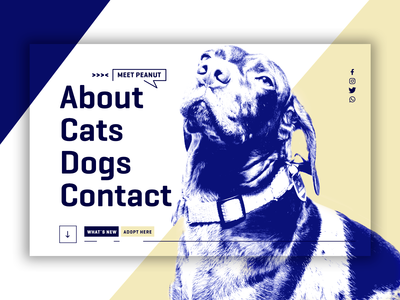 英雄标题 - 遇见花生(Hero Header - Meet Peanut)