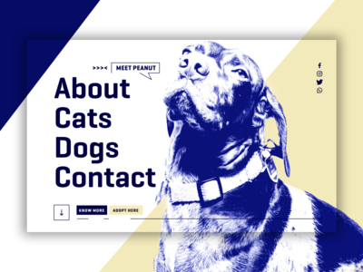 英雄标题 - 遇见花生(Hero Header - Meet Peanut)