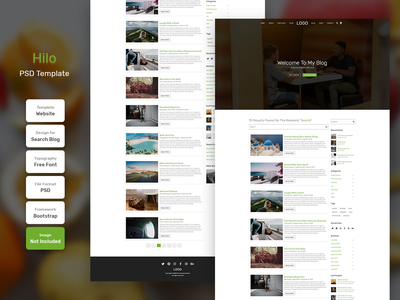 Hilo 搜索页面博客 PSD 网页模板(Hilo Search Page Blog PSD Web Template)