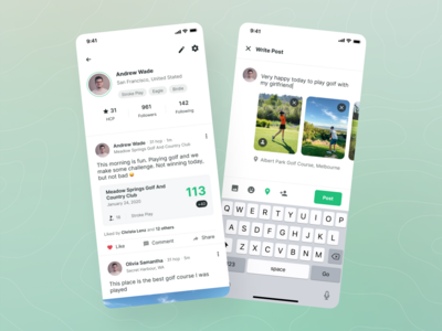 Holeswing - 个人资料和帖子页面（灯光模式）(Holeswing - Profile and Post Page (Light Mode))