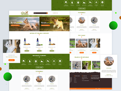 网页模板(Web Template)