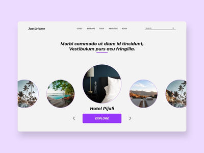 酒店网络概念(Hotel web concept)