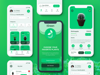 植物商店应用程序 1(Plant Store App 1)
