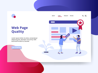 着陆页网页质量(Landing Page Web Page Quality)