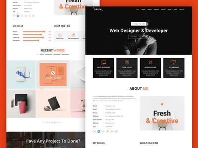 Orion 个人作品集模板(Orion Personal Portfolio Template)