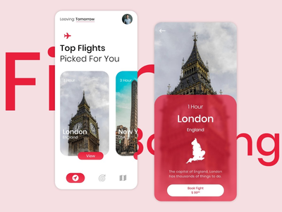 航班预订应用程序概念(Flight booking app concept)