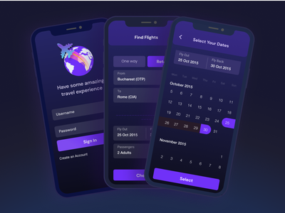 飞行应用程序概念(Flight app concept)