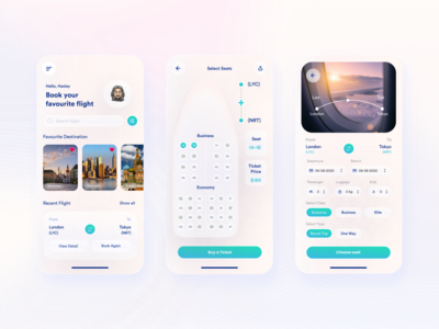 航空公司应用程序设计(Airline App Design)