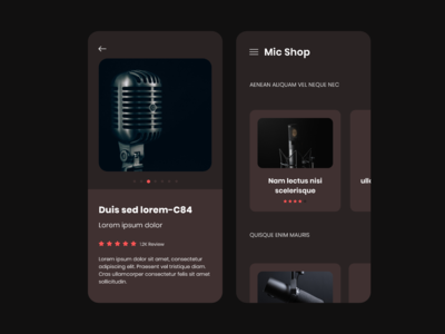 麦克风商店概念(mic shop concept)