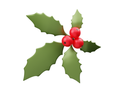 槲寄生 3d 渲染插图(Mistletoe 3D Render Illustration)