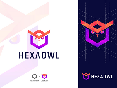 现代六边形和猫头鹰结合标志标记 HEXAOWL(Modern Hexagon and Owl Combine Logo Mark HEXAOWL)