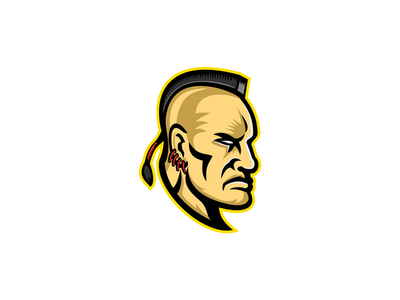 美国原住民莫霍克吉祥物(Native American Mohawk Mascot)