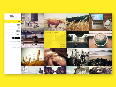 Moler - 全屏投资组合模板(Moler - Full Screen Portfolio Template)