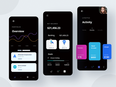 资金管理器应用程序用户界面(Money manager App UI)