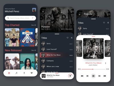 音乐应用 2.0(Music app 2.0)