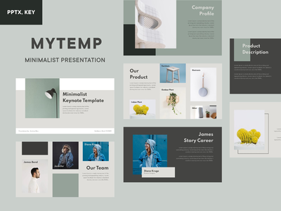 极简主义演示模板(Minimalist Presentation Template)