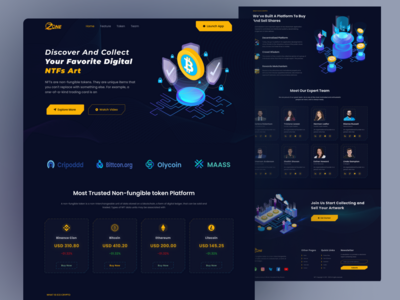 NFT 登陆页面网站(NFT Landing Page Website)