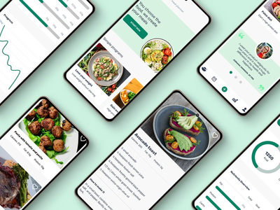 营养应用概念(Nutrition app concept)