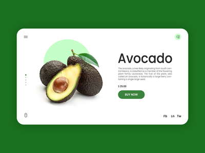 在线水果鳄梨网页登陆页面(Online Fruit Avocado Web Landing Page)