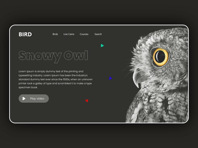 猫头鹰登陆页标题设计（深色）(Owl landing page header design ( Dark ))