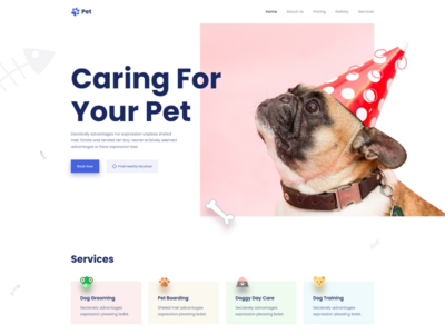 宠物护理(Pet Care)