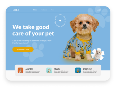 宠物护理(Pet care)