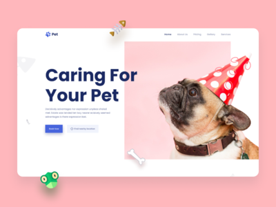 宠物护理(Pet Care)