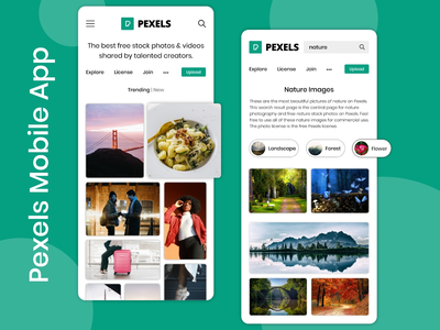 Pexels 应用程序概念(Pexels Applicaation Concept)