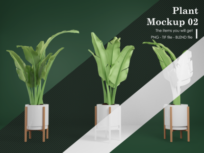 植物样机 02(Plant Mockup 02)