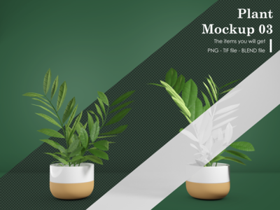 植物样机 03(Plant Mockup 03)