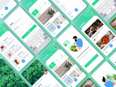 植物爱好者应用程序(Plant Lover App)