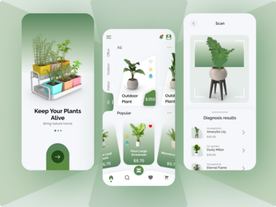 植物识别(Plant Identify)