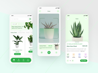 植物识别应用挑战(Plant Identification App Challenge)