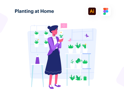 在家种植(Planting at home)