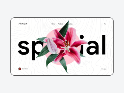 特殊种植登陆页面(Special Planting Landing Page)