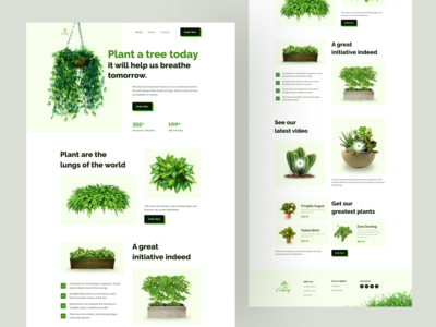 植物登陆页面(Plant Landing Page)
