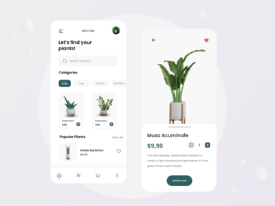 植物移动应用程序第 2 部分(Plants Mobile App Part 2)
