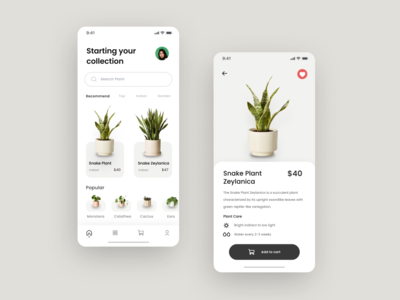 植物移动应用探索(Plants Mobile App Exploration)
