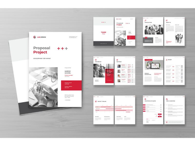 提案项目(Proposal Project)