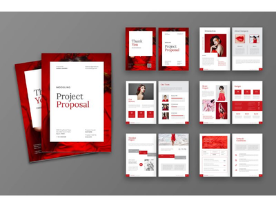 提案项目(Proposal Project)