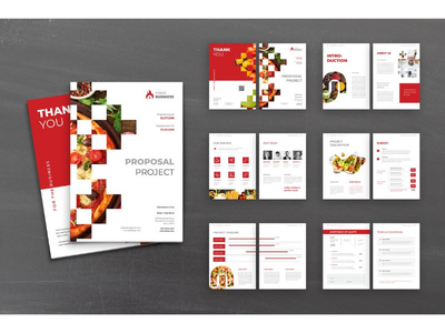 提案项目(Proposal Project)