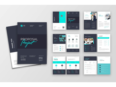 提案项目(Proposal Project)