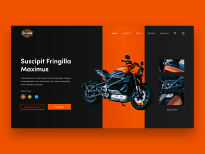 产品画面设计(Product Screen Design)