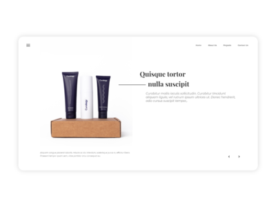 电子商务网页英雄页面 - UI 套件(E-commerce web hero page - UI kits)