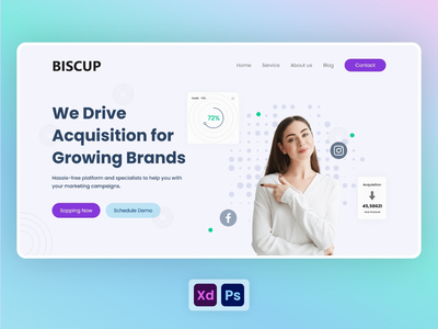 专业登陆页面(Professional Landing Page)