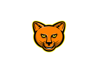 微笑的美洲狮头吉祥物(Smiling Puma Head Mascot)