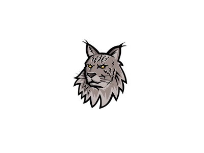 缅因猫头吉祥物(Maine Coon Cat Head Mascot)