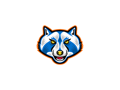 北美浣熊吉祥物(North American Raccoon Mascot)