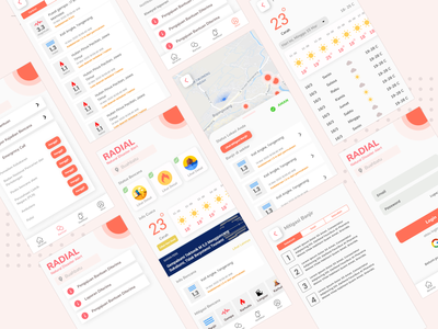 径向 - 自然灾害警报(Radial - Natural Disaster Alert)