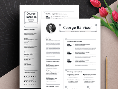 干净的可编辑简历模板(Clean Editable Resume Cv Template)